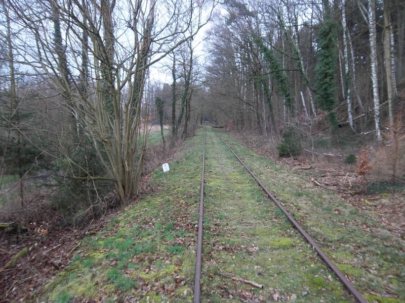 ZWNEGI27